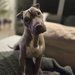 Caleb Crowley - @crowley_21 - Instagram