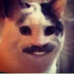 Kaleb Cupp - @bruh_moment.mp5 - Instagram