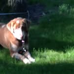 Caleb C Dahlen - @walleyedahlen7655 - Instagram