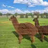 Caleb Damons - @caleb.damons0 - TikTok