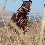 Caleb Daniel - @calebdaniel781 - Instagram