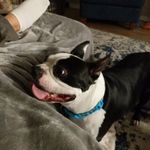 Caleb Daugherty - @calebdaugherty1 - Instagram
