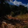 Caleb Delgado - @caleb.delgado33 - TikTok