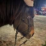 Caleb denney - @calebdenney62 - Instagram