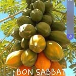 Désiré Caleb - @desirecaleb01 - Instagram