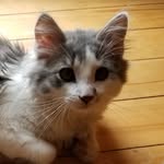 Cale Deveau - @caledeveau - Instagram
