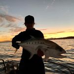 Caleb Dickson - @calebdickson5 - Instagram