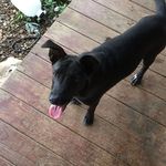 Caleb Diehl - @caleb.diehl1 - Instagram