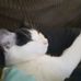 Caleb Diprose - Facebook