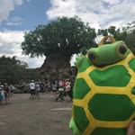 Caleb The Disney Turtle - @calebthedisneyturtle - Instagram