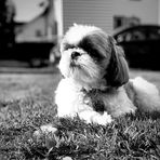 Caleb Dobbs - Facebook