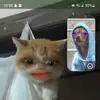 caleb dodds - @cdodds7287 - TikTok