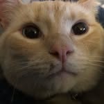 Caleb Dodge - @dodge1519 - Instagram