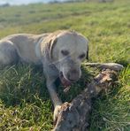 Caleb Doherty - Facebook