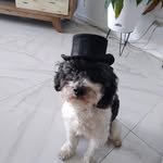 Caleb Donaldson - @the_great_potassium_wizard - Instagram