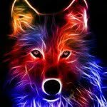 Caleb Dow - @dow.caleb.699 - Instagram