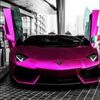 caleb_doyle - @caleb_doyle - TikTok