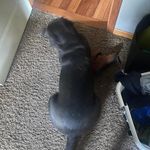 Caleb Drake - @drake.caleb - Instagram