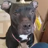 Caleb_Drake - @caleb_drake - TikTok