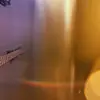 caleb andrew - @calebandrew001 - TikTok