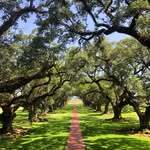 caleb_drummond_Photography - @caleb_drummond_photography - Instagram