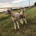 Kaleb Dudley - Facebook