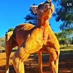 Caleb Duerk - @duerkcaleb - Instagram