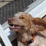 Caleb Duffy - @caleb_duffy_insta - Instagram