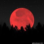 Caleb Duran - Facebook