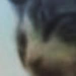 Caleb Duran - @caleb.duran.798 - Instagram