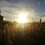 Caleb Durrant - @whis.keyphotography - Instagram