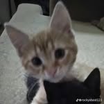 Caleb - @durrett.caleb59 - Instagram