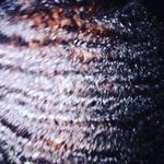 Caleb East - @4kt_caleb_14 - Instagram