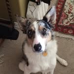 Caleb Edgington - @credge24 - Instagram