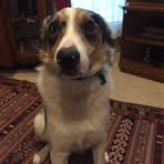 Caleb Edgington - Facebook