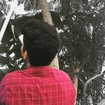 Caleb Edison - @caleb.edison.35 - Instagram