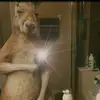 Poeta - @caleb.edison - TikTok