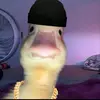 Caleb Egger - @caleb.egger8 - TikTok