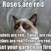 Caleb Eggers - Facebook