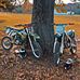 Cale Elam - Facebook