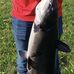 Kaleb Eller - Facebook