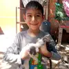 Liam caleb Llanos Encinas - @liam.caleb.llanos8 - TikTok