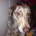 Caleb Ender - Facebook