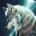 Caleb Enders - Facebook