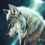Caleb Enders - @caleb.enders.96 - Instagram