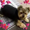 calebengle - @calebengle - TikTok
