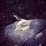 caleb asher engstrom - @calebengstrom07 - Instagram