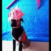 Caleb Estrada - @caleb.estrada8 - TikTok