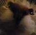 Caleb Fain - Facebook