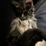 Caleb fallon - @calebfallon7 - Instagram